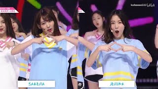 Miyawaki Sakura amp Matsui Jurina Dance Comparison PRODUCE48 NEKKOYA 宮脇咲良 松井珠理奈 IZONE [upl. by Jase384]