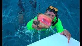 Queen Conch in The Exuma Cays Staniel Cay Catch Clean Cook [upl. by Voltmer]