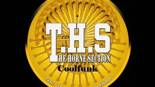 THS The Horne Section  True Confusion BoogieFunk [upl. by Onitnelav]