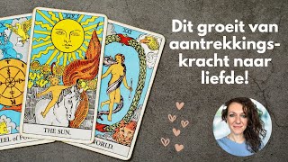 Dit groeit van aantrekkingskracht naar liefde  December 2023  Tarot Reading [upl. by Adlesirc]