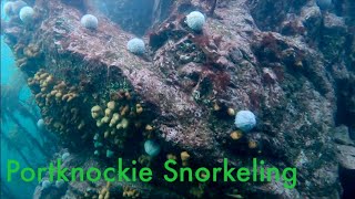 Snorkeling and Freediving Portknockie North Scotland [upl. by Iaverne]