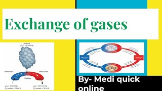 Exchange of respiratory gases  respiration physiology  Human respiratory system [upl. by Tterrej]