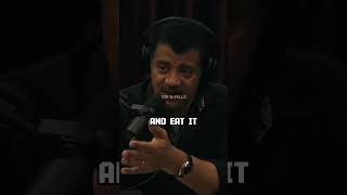 Alien POV On Earth w Neil deGrasse Tyson [upl. by Andras]