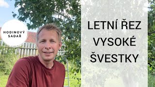 🌳 Dva způsoby letního řezu švestek🌳 [upl. by Mcgill]