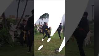 Grand Demonstration by Ninjas  ninjutsutraining ninja demonstration viralshorts search like [upl. by Jolie]