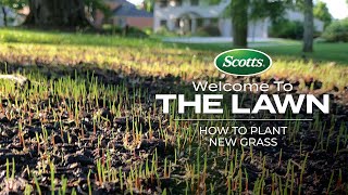 Welcome To The Lawn How to Plant New Grass [upl. by Nnayllas]