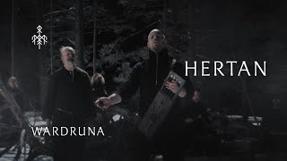 Wardruna  Hertan Heart Official Music Video [upl. by Leonteen258]