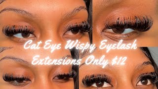 DIY Wispy Cat Eye Lash Extensions at Home For Cheap 😍 [upl. by Dorkas]