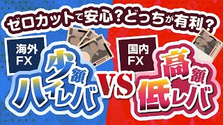 【ゼロカットで安心？】海外FXの少額ハイレバ VS 国内FXの高額低レバ、どっちが有利？ [upl. by Elirpa]