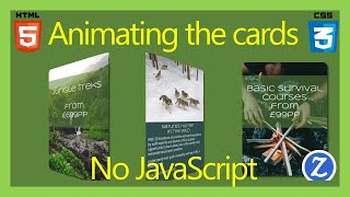 How to Add card animation to an existing site ITWEB10 [upl. by Anytsirk]