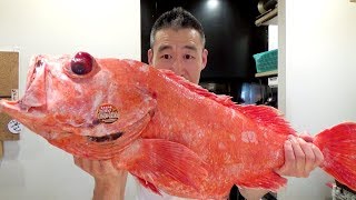 오로시영상일본 거대한 생선 회뜨기먹방 fillet giant fish for sashimi and eating show [upl. by Meekyh292]