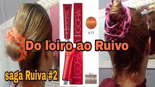 DO LOIRO AO RUIVO COM IGORA ROYAL 877 e 91 [upl. by Lathe537]