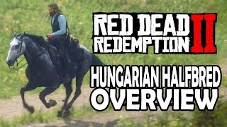 Hungarian Halfbred Overview  Red Dead Redemption 2 Horses [upl. by Nahsyar190]