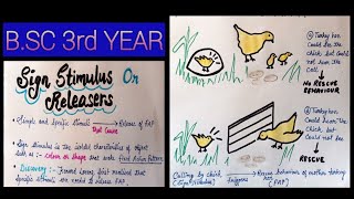 Sign Stimulus  Definition Examples Types  Releaser  Animal Behaviour  Ethology  BSc 3rd Year [upl. by Arad]