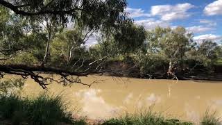 Camped On The Georgina River  Urandangie QLD [upl. by Kindig142]