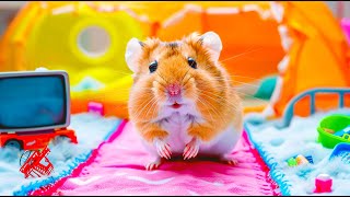 Hamster Escaping 🐹 Beating the Maze with Speed and Skill ⚡️ Hamster Maze [upl. by Odnamra]