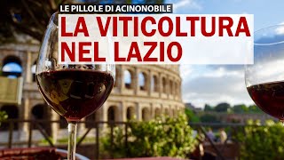 La Viticoltura in Lazio [upl. by Kelleher]