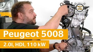 Watch and Work Tutorial Distributieriem vervangen op Peugeot 5008 20l HDI 110 kW [upl. by Nad248]