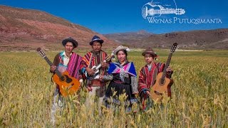 Charangos de Bolivia 11  Waynas P´utuqsimanta  Potosí [upl. by Dacie]