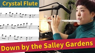 Hall Crystal Flute in D  Down by the Salley Gardens【Tutorial】 Notes and BackingTrack [upl. by Yoral]