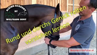 F2 Pferde richtig rund und durchs Genick reiten genau erklärt Beugerkette und Streckerkette [upl. by Winnifred]