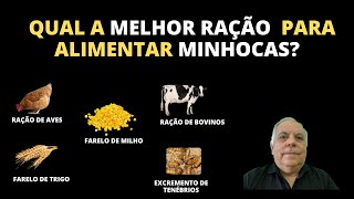 Comprovado Melhor ração desidratada para alimentar minhocas da Califórnia [upl. by Eded]