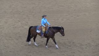 Judges Perspective Rookie Ranch Riding [upl. by Nedyaj]