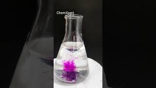 Dissolution of Potassium Permanganate [upl. by Huckaby]