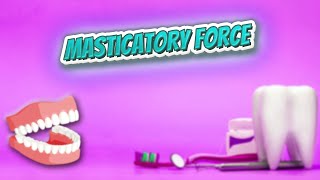 Masticatory force  Everything Dentistry 🍎👄🔊✅ [upl. by Mauretta]