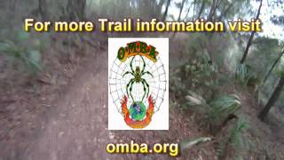 John Brown  Santos Trails MTB Park Ocala Florida [upl. by Ahtan]