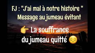 FJ  La Souffrance vécue par le Jumeau rejeté Message au Jumeau évitant ConscienceRéconciliation [upl. by Hgielsel]