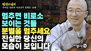 멈추면 비로소 보이는 것들 분별을 멈추세요 진실한 당신의 모습이 보입니다  법상스님의 행복한 마음공부 부처님 말씀과 마음공부 통합본 19회 [upl. by Gylys]