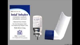 4 Mast Cell Stabilizers [upl. by Rabkin]