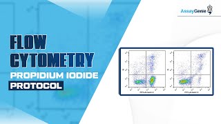 Flow Cytometry Propidium Iodide Protocol [upl. by Etnasa463]