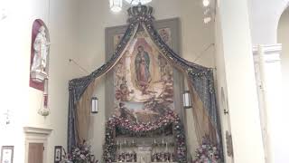 Litany of Loreto TTBB voices  Our Lady of Guadalupe Seminary December 12 2023 [upl. by Ajiat]