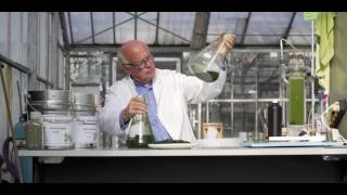 Duurzaamheid in Haarlemmermeer  Algen Algae innovations [upl. by Tawsha]