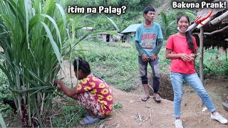 Parusa sa mga Mangyan pag Nagkakasala  BATAS NG KATUTUBONG MANGYAN [upl. by Aivatnwahs]