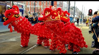 Chinees Nieuwjaar Rotterdam 2020 [upl. by Llertnac40]