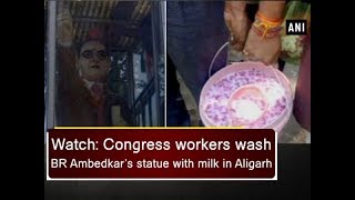 Watch Congress workers wash BR Ambedkar’s statue with milk in Aligarh  Uttar Pradesh News [upl. by Brittan174]