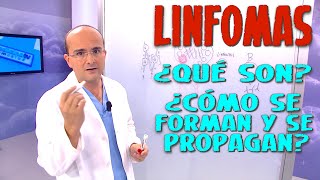 LINFOMAS Todo lo que necesita saber ¿Qué son ¿Como se propagan  CÁNCER 15 [upl. by Kerk]