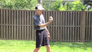 Softball Pitching Mechanics Forearm Fire [upl. by Kcirddec215]