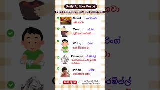 ඔබ දැන ගත යුතුම 10 Essential Daily English Action Verbs 🌟 [upl. by Minor]