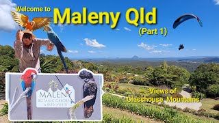 Our trip to Maleny Botanic Gardens amp Bird World Queensland [upl. by Akemehc]