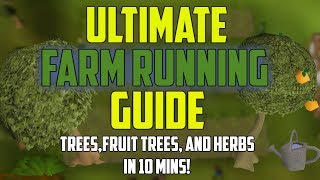 OSRS  Ultimate Farm Running Guide TreesFruit TreesHerbs IN 10 MINS [upl. by Nnylyt361]