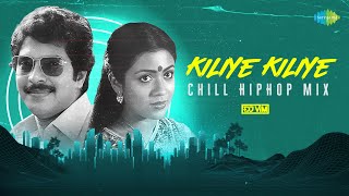 Kiliye Kiliye  Chill HipHop Mix  Aa Raathri  Ilaiyaraaja  S Janaki  DJ VIM [upl. by Erual]