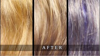 Fanola No Yellow Shampoo  Grey Blending Hair Using Purple Shampoo [upl. by Boykins]