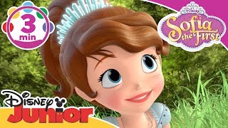 Sofia the First  I Am On Your Side Song  Disney Junior UK [upl. by Avrom]