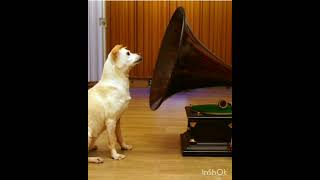 Evolution of quotHis Masters Voice quot Nipper dog [upl. by Airdnat]