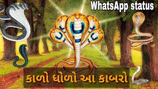 goga maharaj statusGujarati statusGujarati ringtone [upl. by Kcinemod]