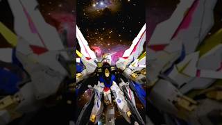 DABAN MIGHTY STRIKE FREEDOM GUNDAM PROUD DEFENDER MG 1100 [upl. by Fauch335]